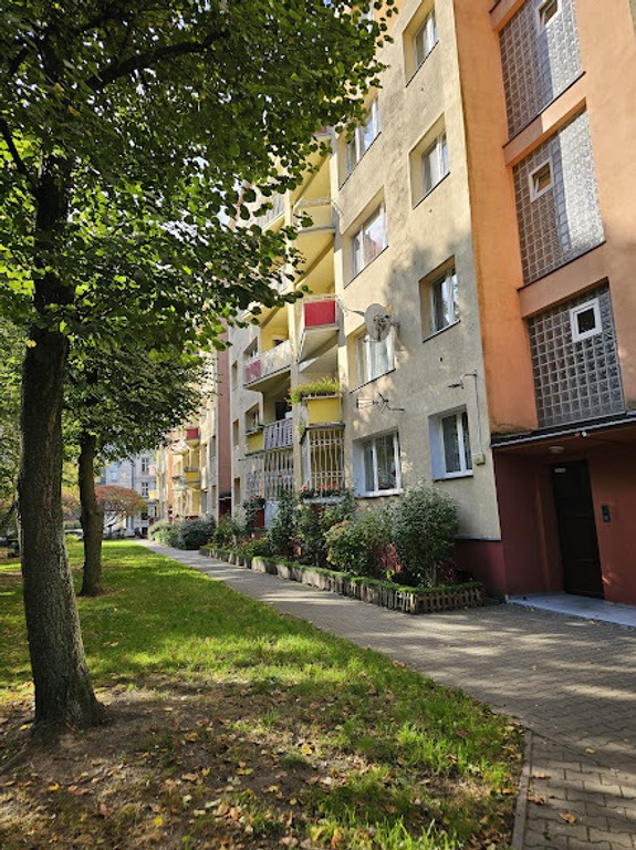 Słoneczne 3 pokoje z potencjałem w Centrum Szczecina - Kavalerka.pl